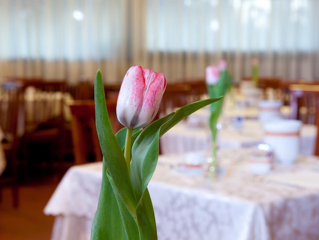 Hotel Marconi Ponte San Nicolo Екстер'єр фото